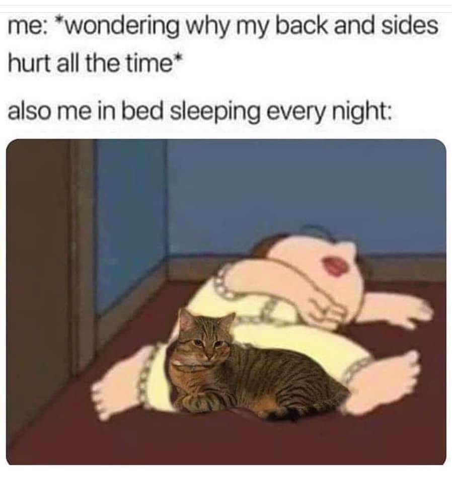 wondering why my back and sides hurt all the time meme - me wondering why my back and sides hurt all the time also me in bed sleeping every night