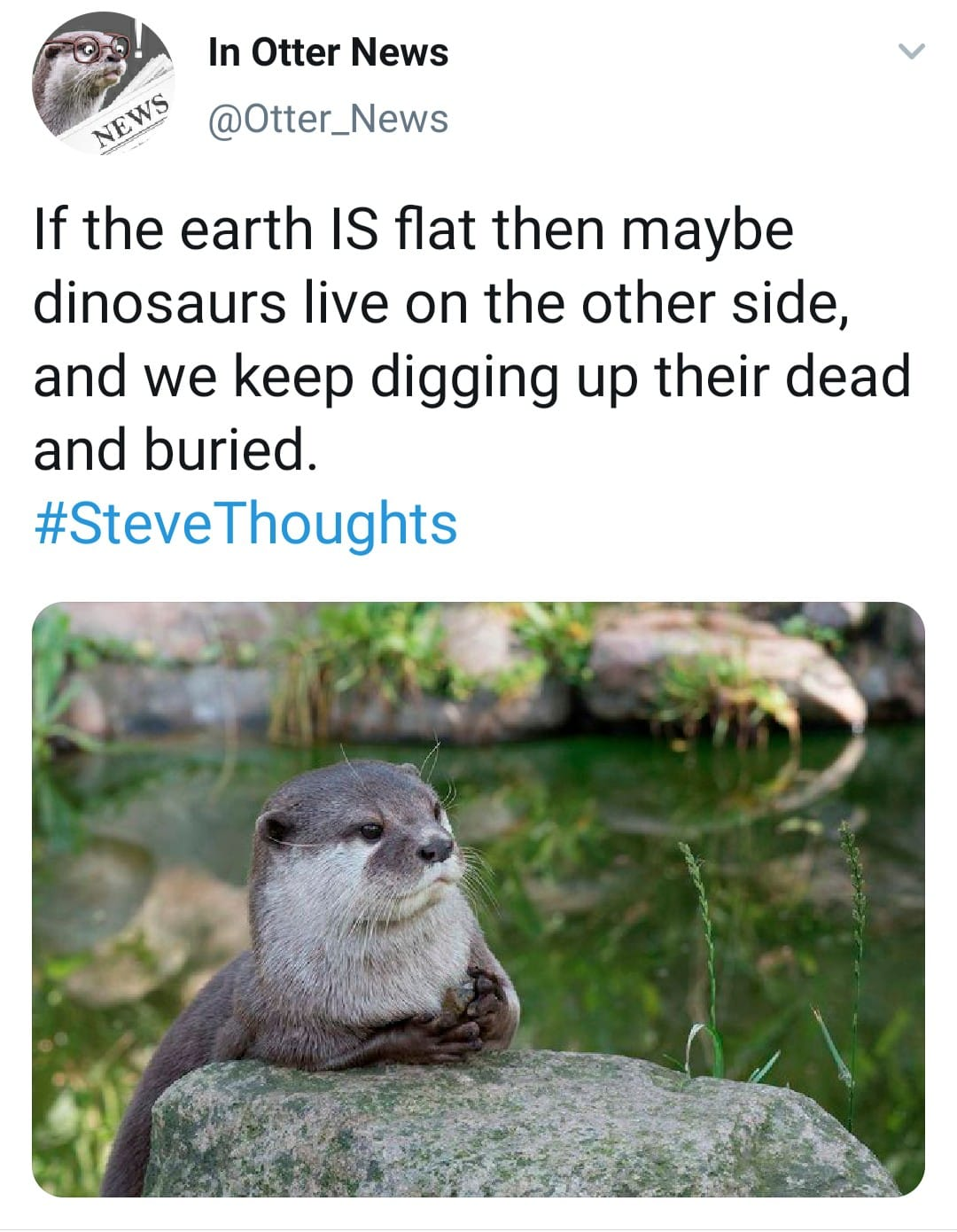flat earth dinosaur dead and buried - pe In Otter News Lewe If the earth Is flat then maybe dinosaurs live on the other side, and we keep digging up their dead and buried. Thoughts