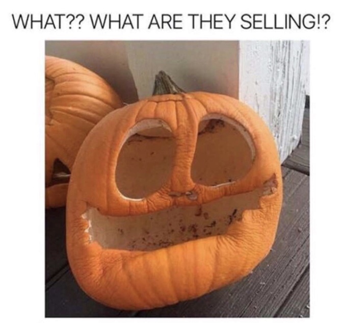 they selling pumpkin meme - What?? What Are They Selling!? Cc