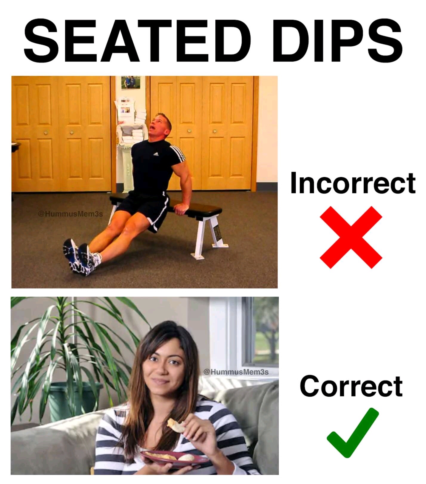 triceps memes - Seated Dips Incorrect Hummus Mem3s Mem3s Correct