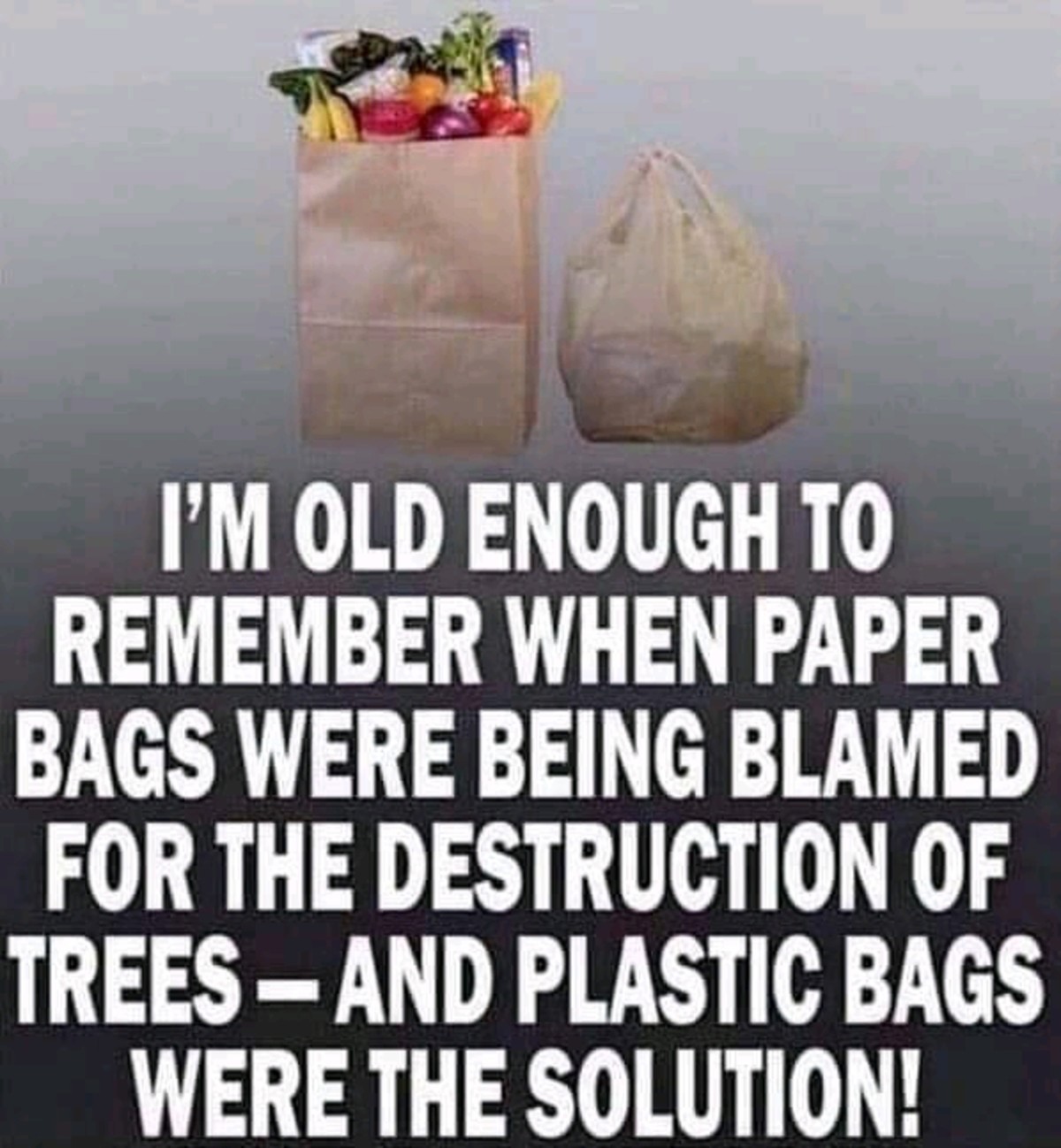 remember when plastic bags - I'M Old Enough To Remember When Paper Bags Were Being Blamed For The Destruction Of Trees And Plastic Bags Were The Solution!