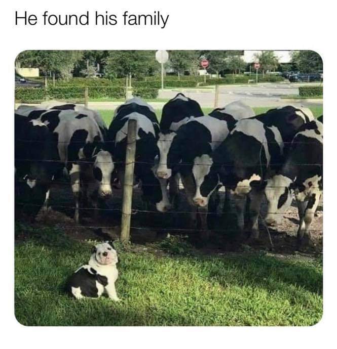 He found his family