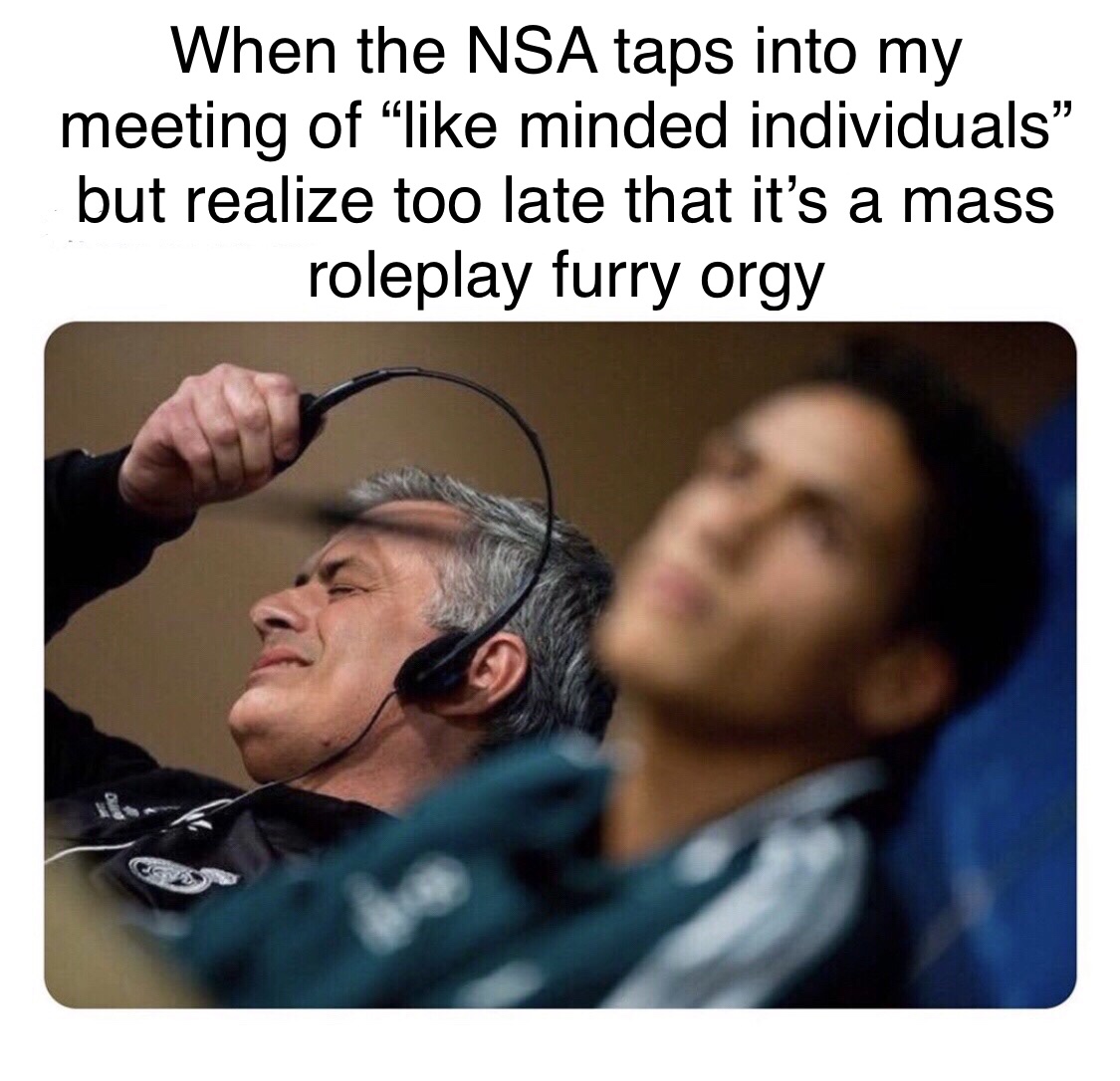 fbi agent meme - When the Nsa taps into my meeting of minded individuals but realize too late that it's a mass roleplay furry orgy