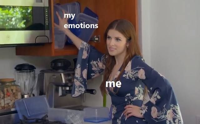 emotional funny memes - my emotions me