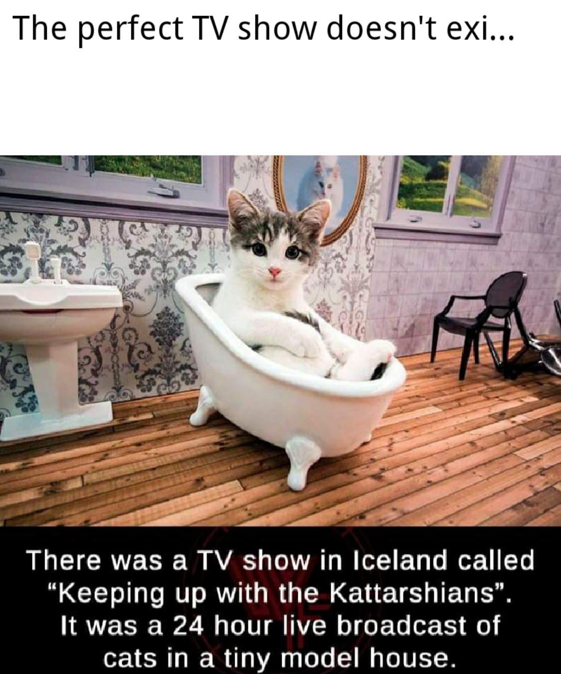 keeping up with the kattarshians - The perfect Tv show doesn't exi... There was a Tv show in Iceland called "Keeping up with the Kattarshians". It was a 24 hour live broadcast of cats in a tiny model house.