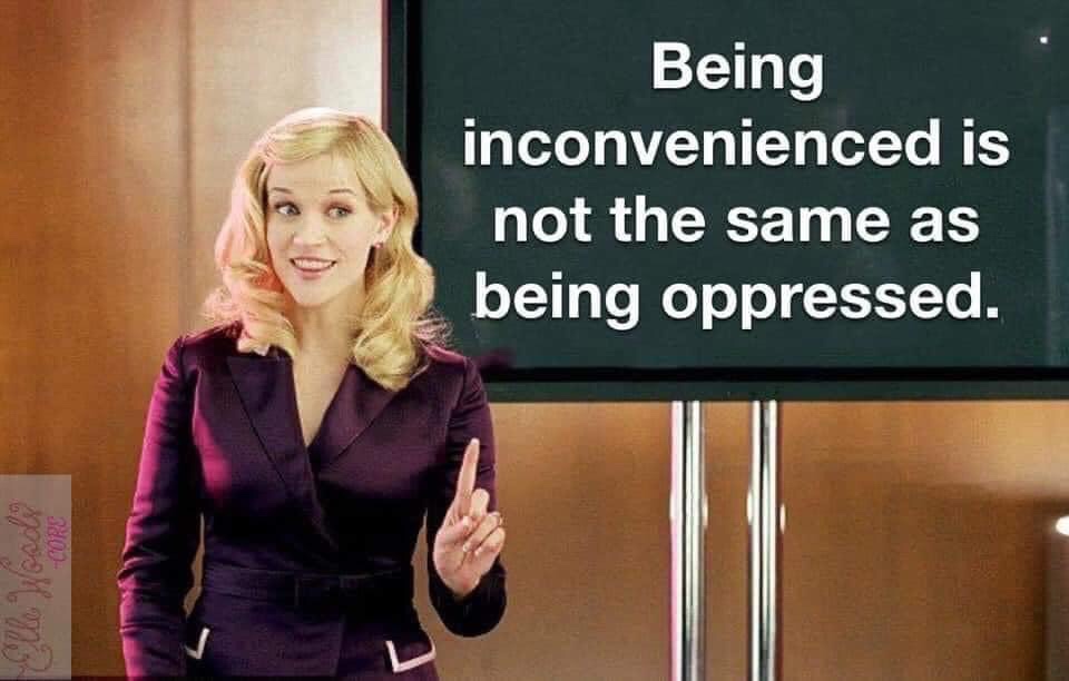 legally blonde 2 bruiser - Being inconvenienced is not the same as being oppressed. Cors Elle Woods
