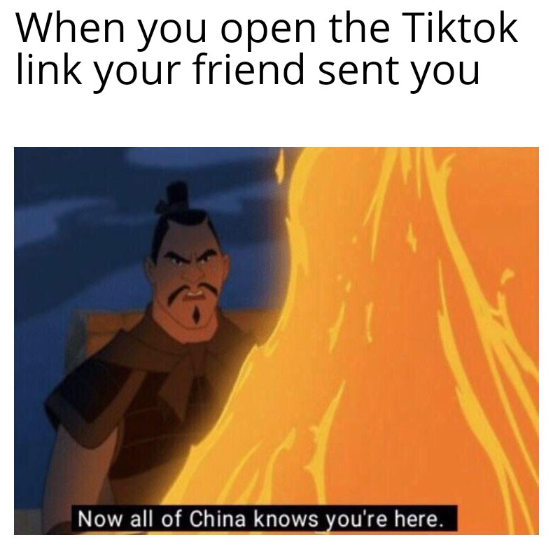 funny memes and random pics - hong kong memes - When you open the Tiktok link your friend sent you Now all of China knows you're here.