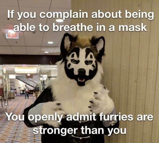 funny memes and random pics - violent j furry costume - If you complain about being able to breathe in a mask You openly admit furries are stronger than you