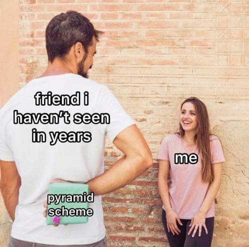 pyramid scheme meme - friend i haven't seen in years me pyramid scheme