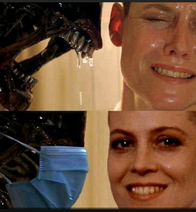 funny memes and random pics -  alien 3 ripley death