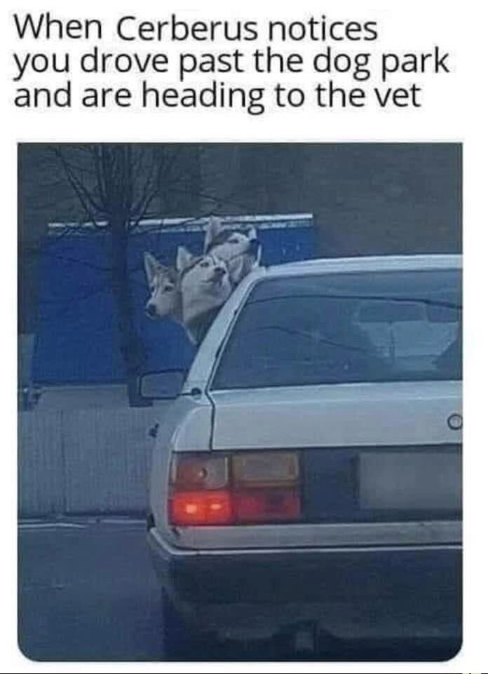 funny memes and random pics -  Cerberus - When Cerberus notices you drove past the dog park and are heading to the vet