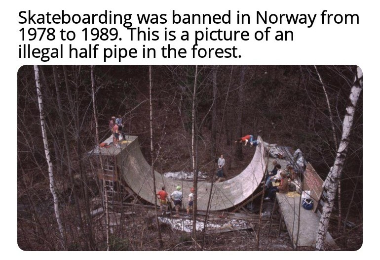 funny memes and random pics -  Skateboarding was banned in Norway from 1978 to 1989. This is a picture of an illegal half pipe in the forest. Sa
