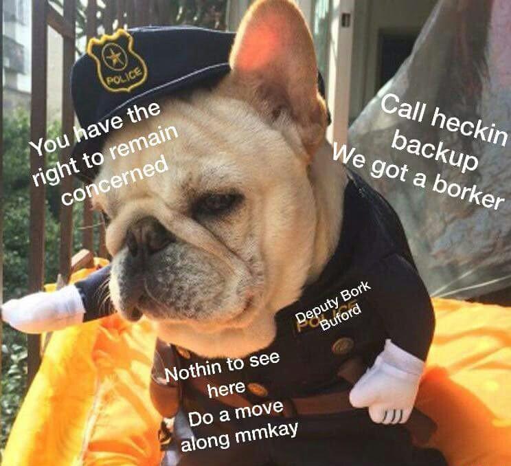 borkers meme - Police Call heckin backup We got a borker You have the right to remain concerned Deputy Bork Buford Nothin to see here Do a move along mmkay