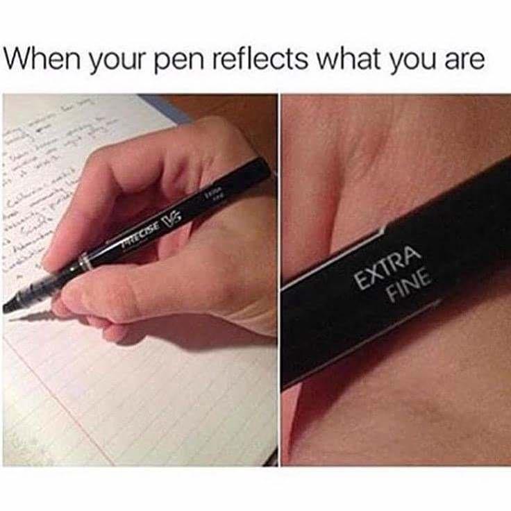 best pen meme - When your pen reflects what you are Recise V Extra Fine