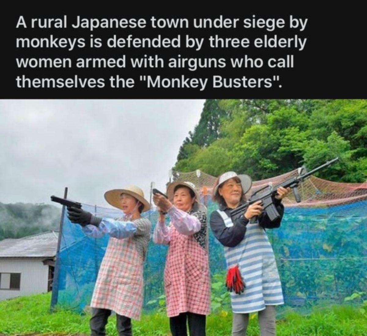 monkey busters japan - A rural Japanese town under siege by monkeys is defended by three elderly women armed with airguns who call themselves the "Monkey Busters".