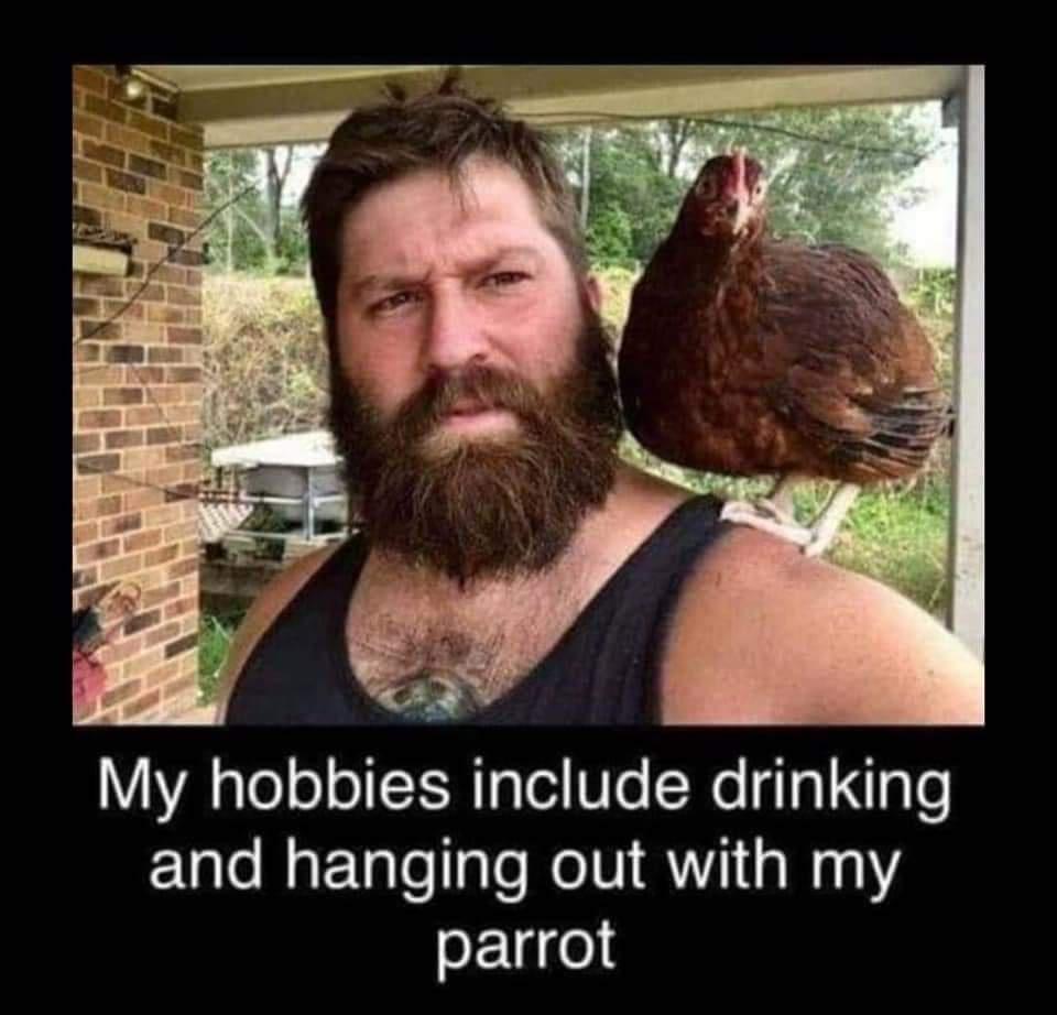 hobbies meme - My hobbies include drinking and hanging out with my parrot