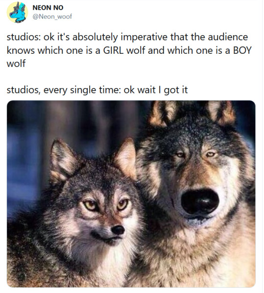 female and male wolf meme - Neon No wool studios ok it's absolutely imperative that the audience knows which one is a Girl wolf and which one is a Boy wolf studios, every single time ok wait I got it