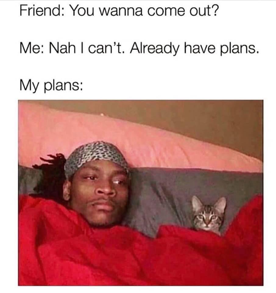 have plans meme - Friend You wanna come out? Me Nah I can't. Already have plans. My plans