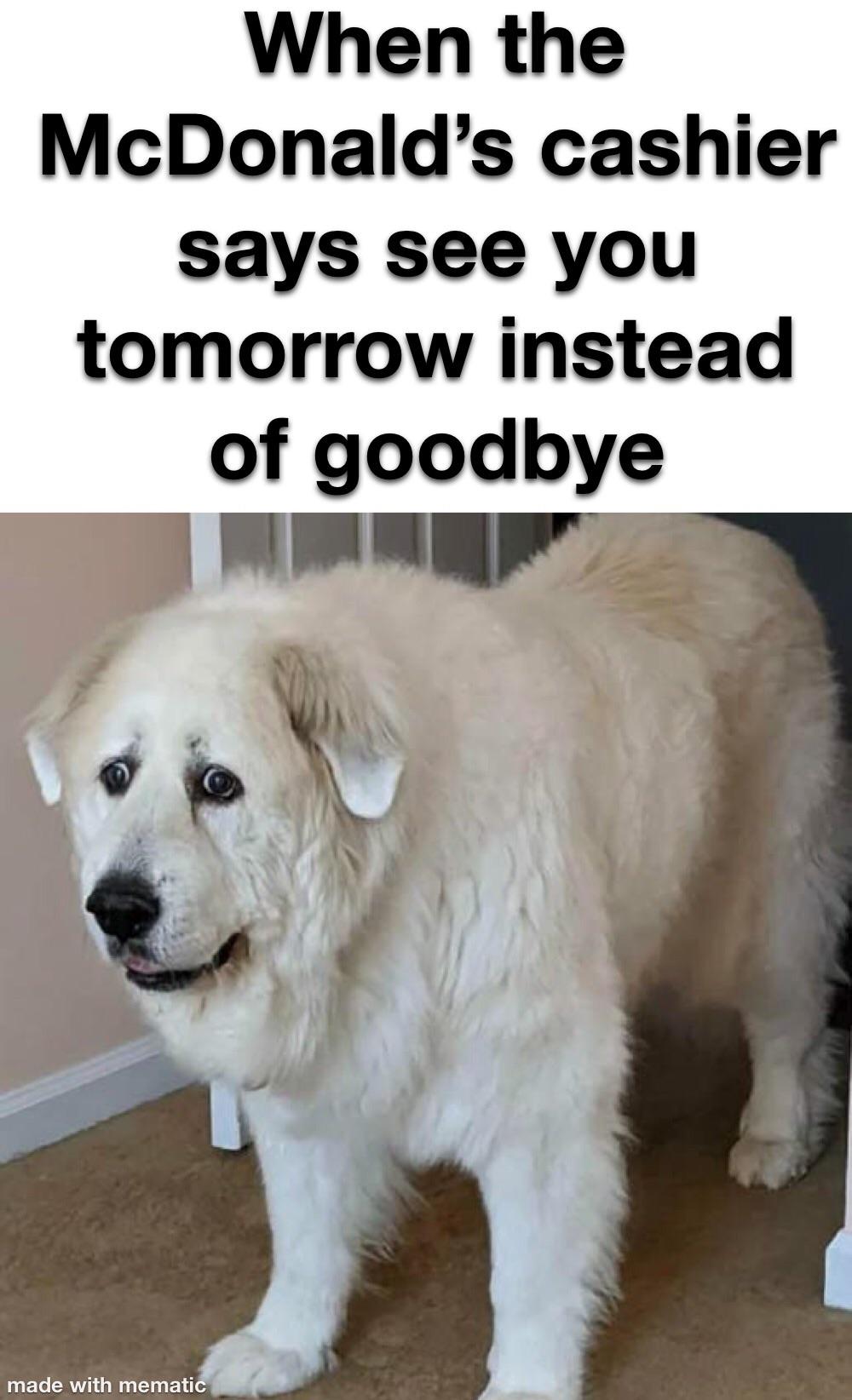 dog - When the McDonald's cashier says see you tomorrow instead of goodbye made with mematic