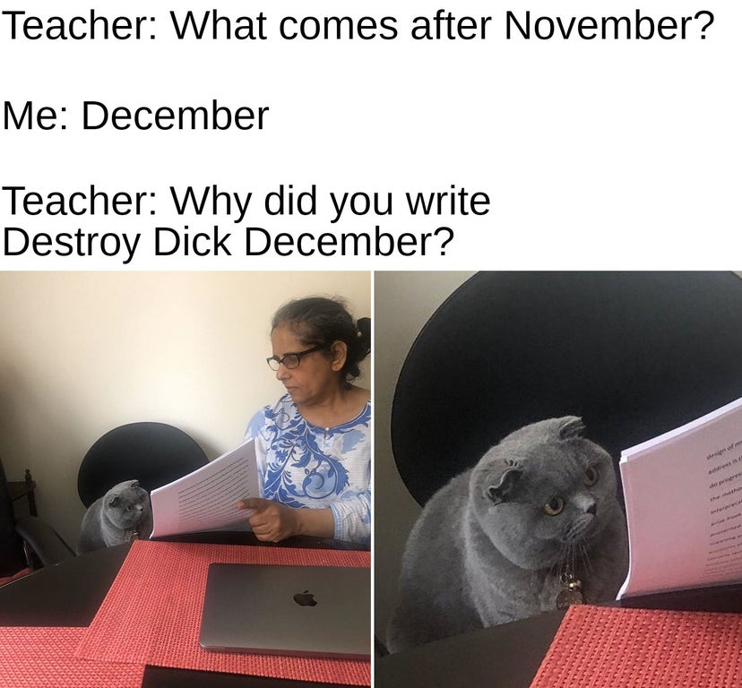 then why did you write cat meme - Teacher What comes after November? Me December Teacher Why did you write Destroy Dick December? des