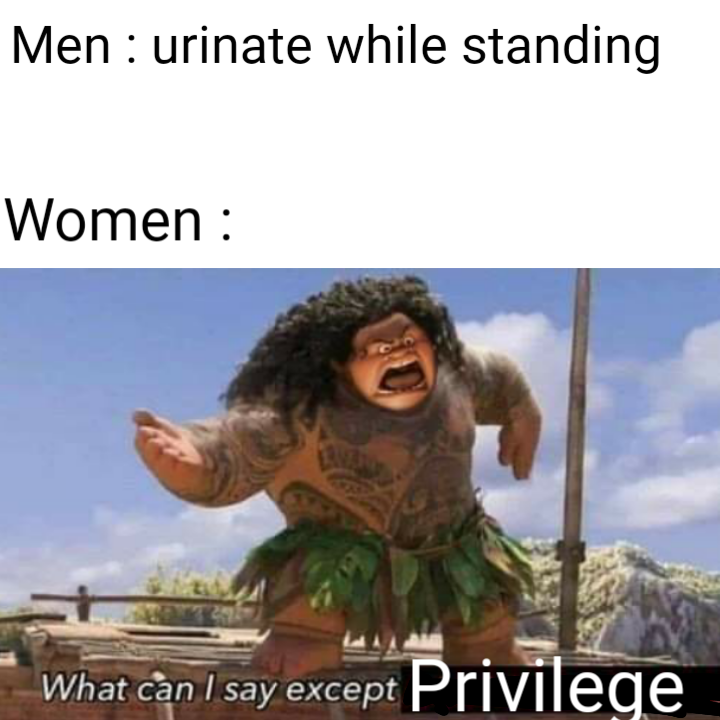 aaaaaa memes - Men urinate while standing Women What can I say except Privilege