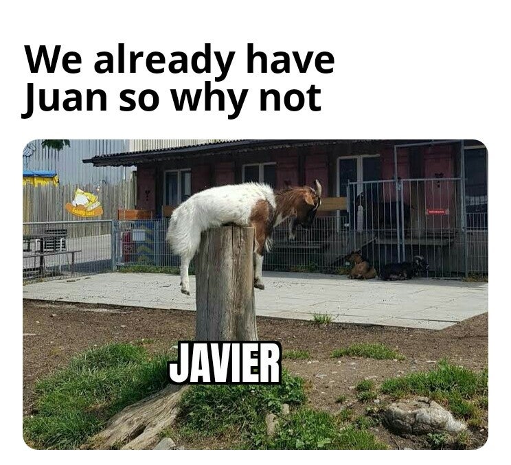 photo caption - We already have Juan so why not Javier Ba