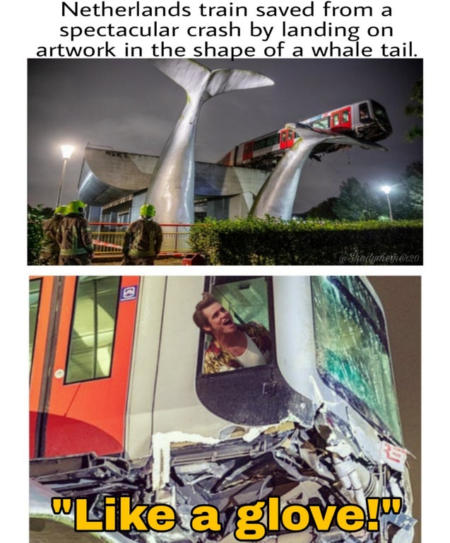 vehicle - Netherlands train saved from a spectacular crash by landing on artwork in the shape of a whale tail. Wekt le W a glove!