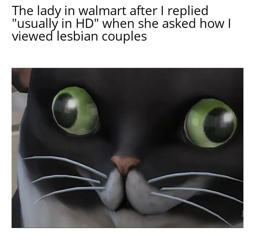 cat - The lady in walmart after I replied "usually in Hd" when she asked how | viewed lesbian couples