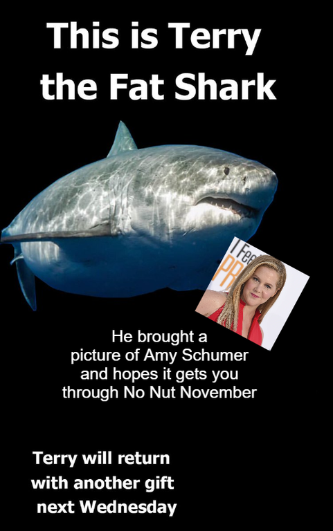 terry the fat shark meme - This is Terry the Fat Shark I Feel He brought a picture of Amy Schumer and hopes it gets you through No Nut November Terry will return with another gift next Wednesday