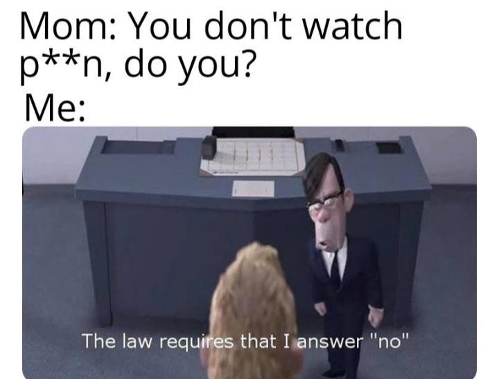 law requires that i answer no gif - Mom You don't watch pn, do you? Me The law requires that I answer "no"