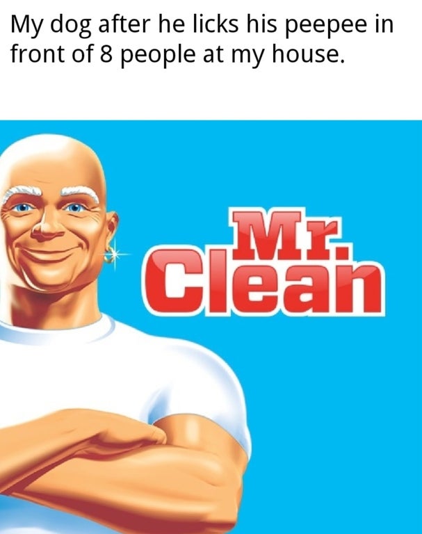 mr clean - My dog after he licks his peepee in front of 8 people at my house. Mr. Clean