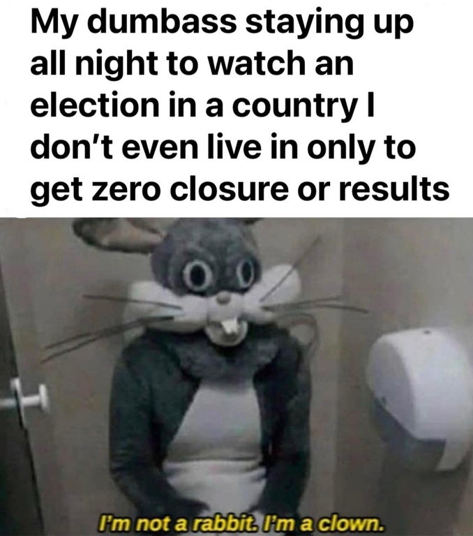 silly meme - My dumbass staying up all night to watch an election in a country don't even live in only to get zero closure or results I'm not a rabbit. I'm a clown.