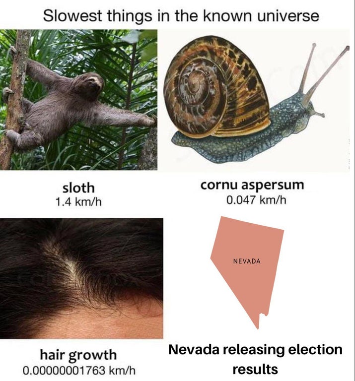 seafarer memes - Slowest things in the known universe sloth 1.4 kmh cornu aspersum 0.047 kmh Nevada hair growth 0.00000001763 kmh Nevada releasing election results