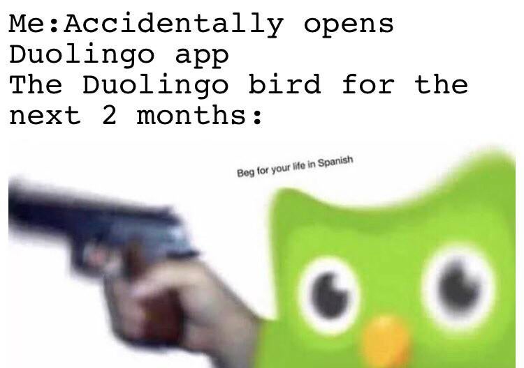 material - MeAccidentally opens Duolingo app The Duolingo bird for the next 2 months Beg for your life in Spanish