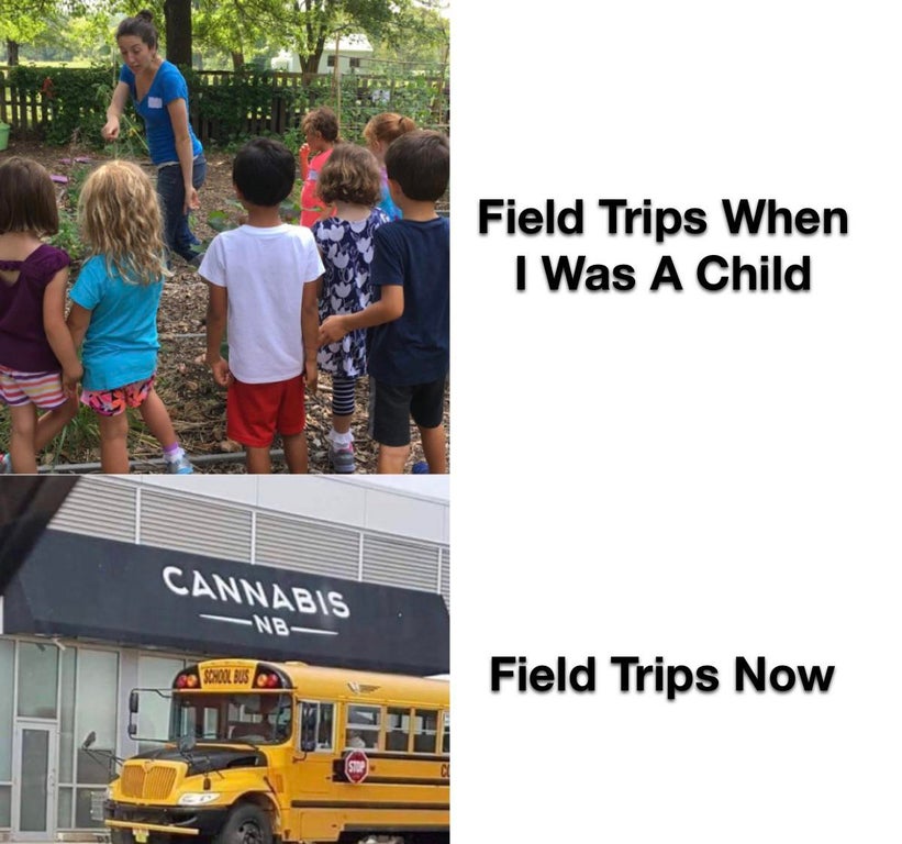 car - hii. Field Trips When I Was A Child Cannabis Nb Schon Bus Field Trips Now