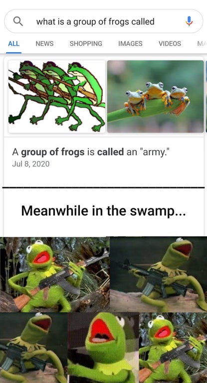 Do Not Go in There! - a what is a group of frogs called All News Shopping Images Videos M A group of frogs is called an "army." Meanwhile in the swamp...