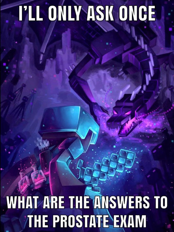 epic minecraft - I'Ll Only Ask Once What Are The Answers To The Prostate Exam