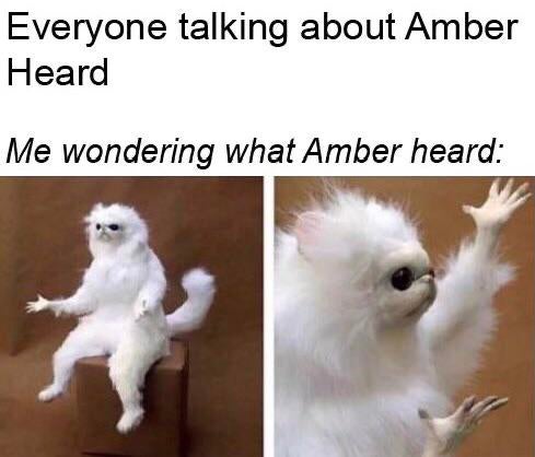 very funny funny - Everyone talking about Amber Heard Me wondering what Amber heard