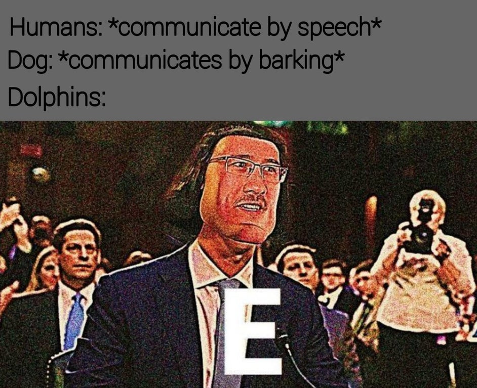 lord farquaad markiplier memes - Humans communicate by speech Dog communicates by barking Dolphins Te