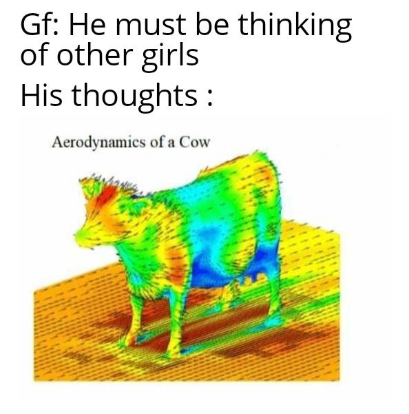 aerodynamics of a cow - Gf He must be thinking of other girls His thoughts Aerodynamics of a Cow