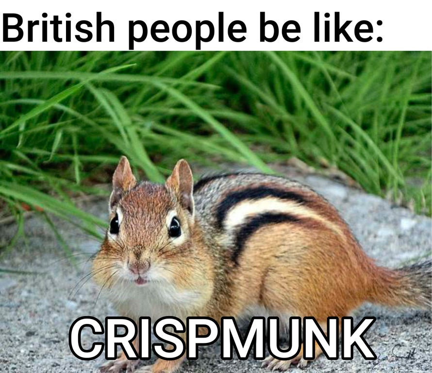 dank memes - cute chipmunk - British people be 2 Crispmunk