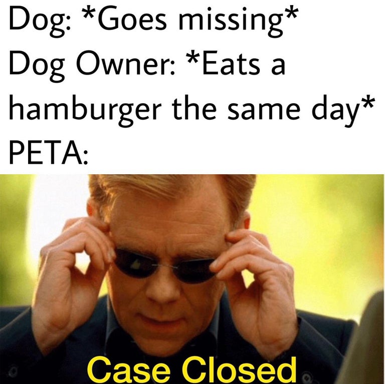 dank memes - csi miami yeaaah - Dog Goes missing Dog Owner Eats a hamburger the same day Peta Case Closed