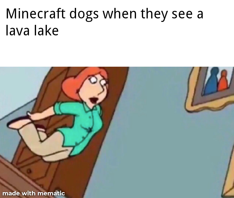 dank memes - nobody my shampoo bottle - Minecraft dogs when they see a lava lake made with mematic
