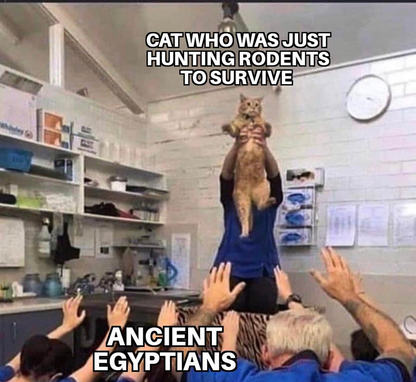 dank memes - people worshipping a cat - Cat Who Was Just Hunting Rodents To Survive Ancient Egyptians