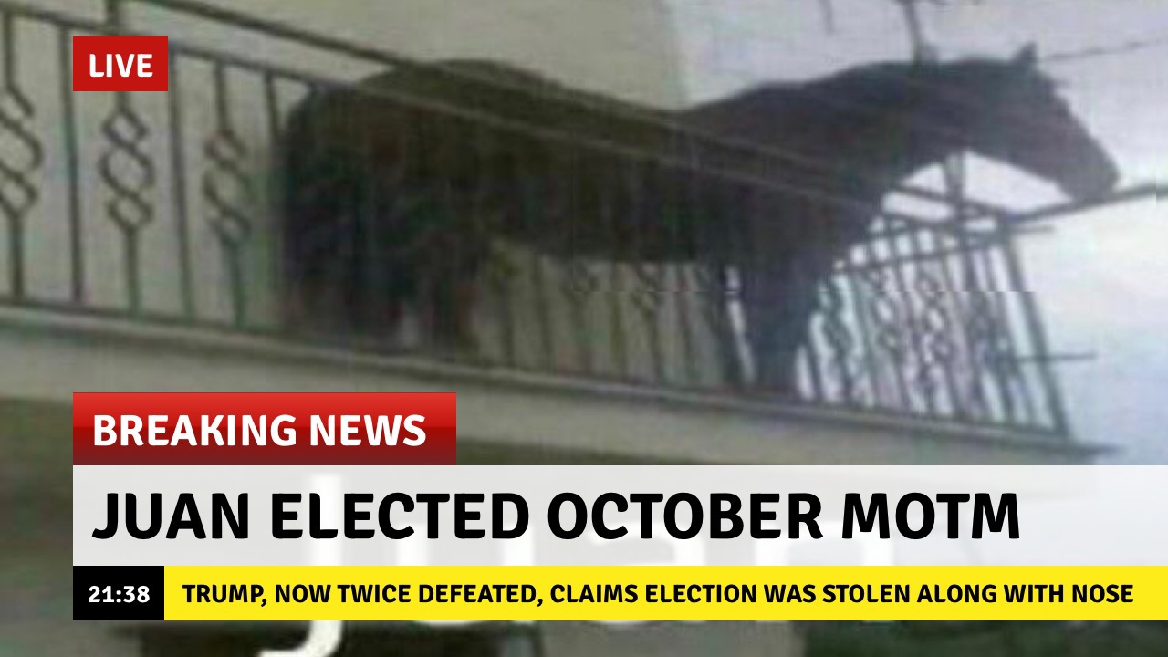 dank memes - juan meme - Live Breaking News Juan Elected October Motm Trump, Now Twice Defeated, Claims Election Was Stolen Along With Nose