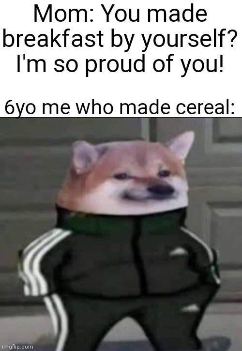 slav doge meme - Mom You made breakfast by yourself? I'm so proud of you! Oyo me who made cereal imgflip.com
