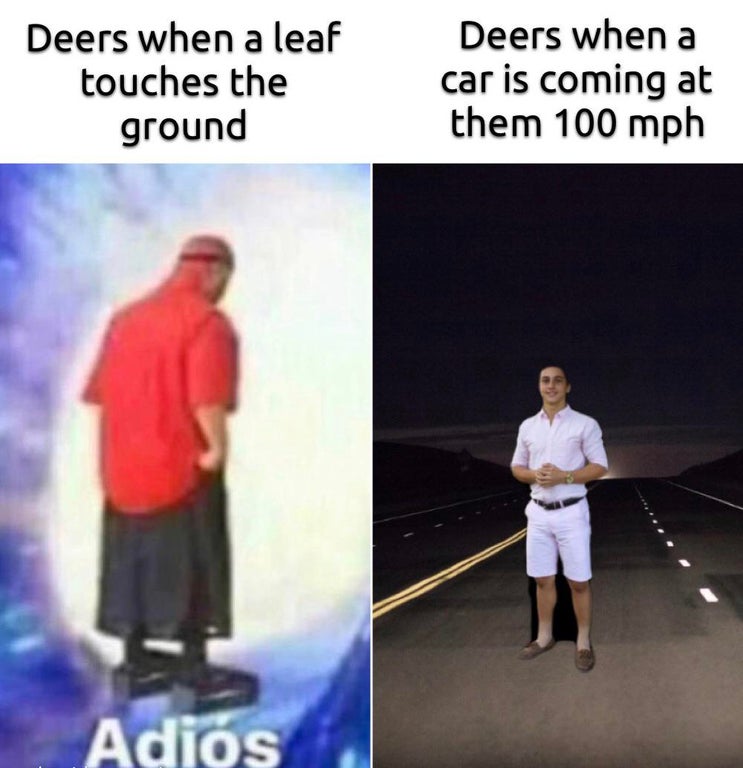 old man adios meme - Deers when a leaf touches the ground Deers when a car is coming at them 100 mph Adis