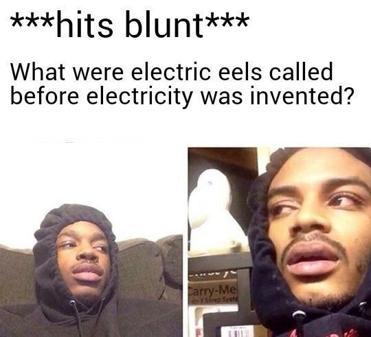420 thoughts - hits blunt What were electric eels called before electricity was invented? arryMe