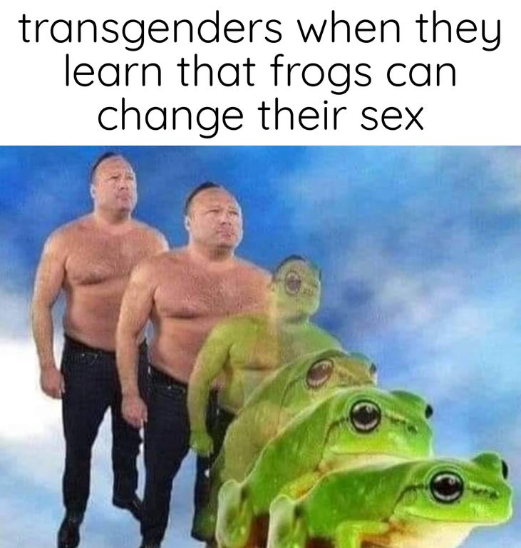 alex jones frog animorph - transgenders when they learn that frogs can change their sex