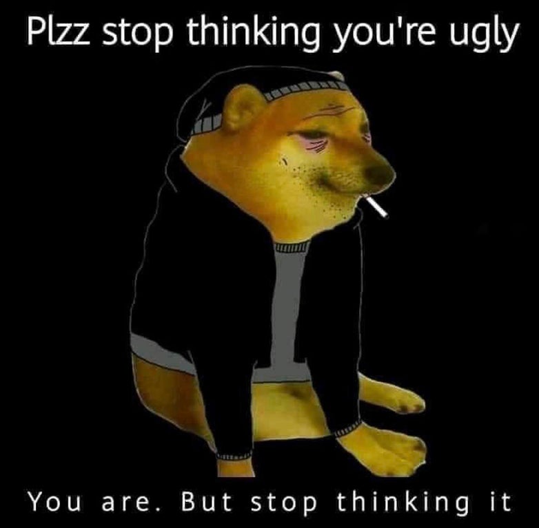 cheems meme template - Plzz stop thinking you're ugly You are. But stop thinking it